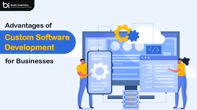 Advantages of Custom Software Development for Businesses