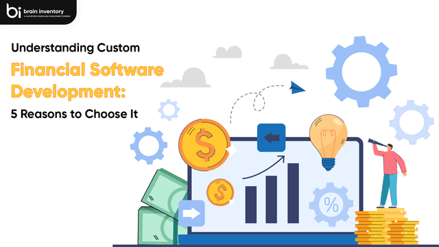 Understanding Custom Financial Software Development: 5 Reasons to Choose It